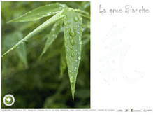 Tablet Screenshot of lagrueblanche.com